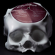 Illustration for article titled Melting Vinyl Records into Skulls Is Hauntingly Beautiful